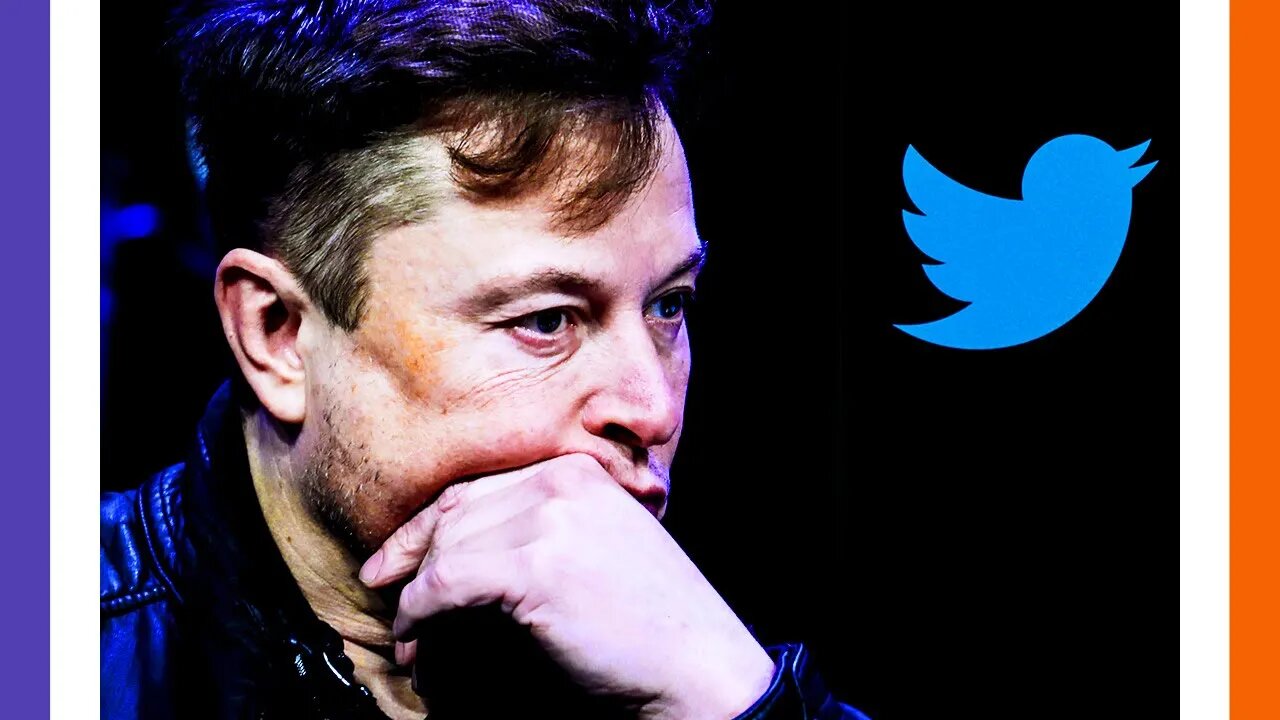 🔴LIVE POLL: Elon Musk Asks Twitter If He Should Step Down 🟠⚪🟣 The NPC Show