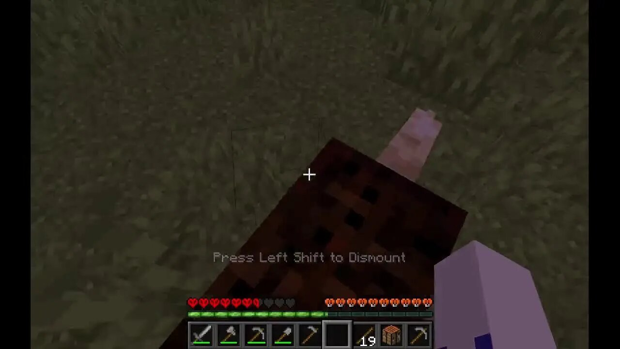Minecraft Hardcore With Some Mods