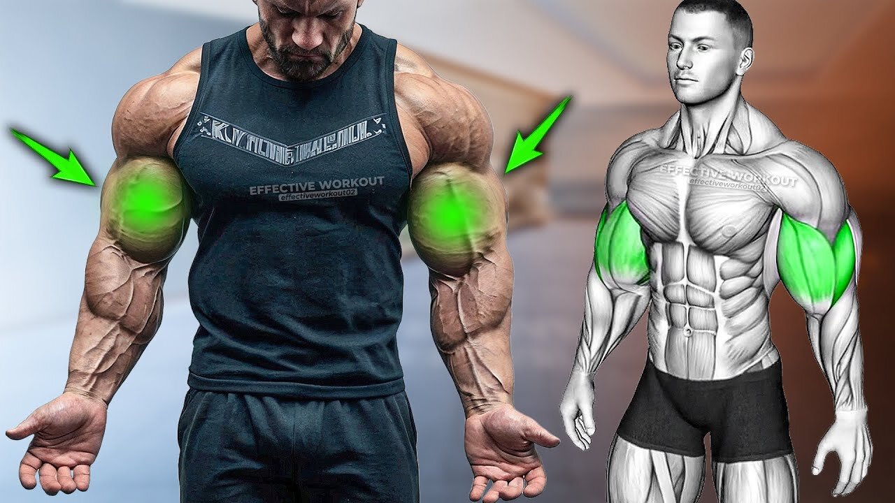 5 Fastest Biceps Exercises for Bigger Arms