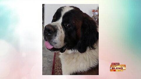 PICK OF THE LITTER: Kane