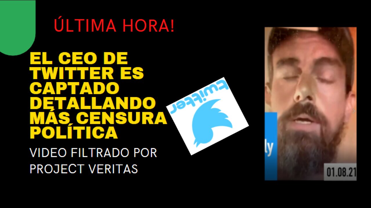 VIDEO FILTRADO Project Veritas revelando CENSURA de Jack Dorsey, CEO de TWITTER SUBTITULADO ESPAÑOL