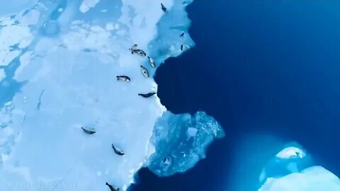 Antarctica # 4K Scenic # Relaxation # Film With Calming Music