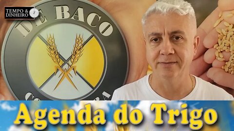 A bolsa vai operar mixta. Os operadores olham a oferta russa contra a quebra no Hemisfério Sul.