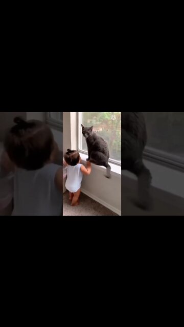 Mama Cat Takes Back Crying Kitten From Toddler #rumble | cat training | rumble news 2022 #short