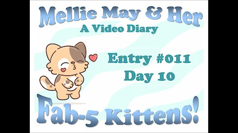Video Diary Entry 011: Getting Down To Their Level - Day 10
