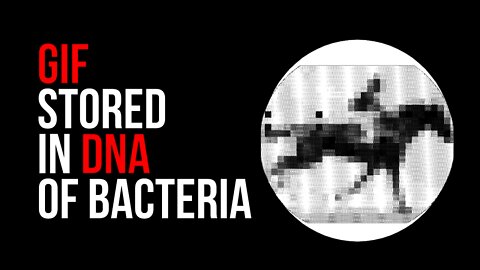 MIT News Reports: Could your digital photos be stored as DNA?