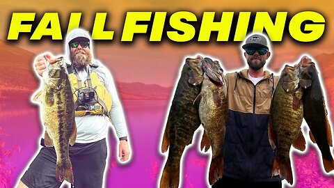 Let's Talk Fall Bass Fishing w/ Brennan Chapman of Do-It Molds