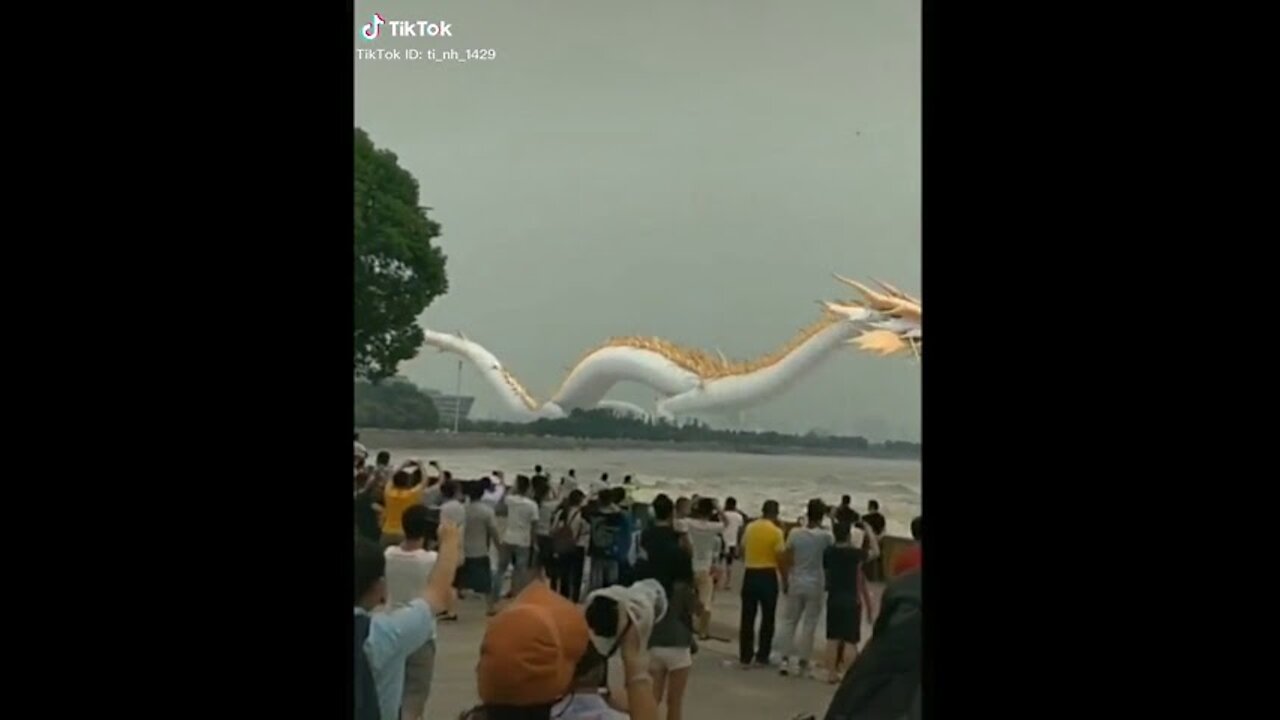 Tik tok chinese dragon