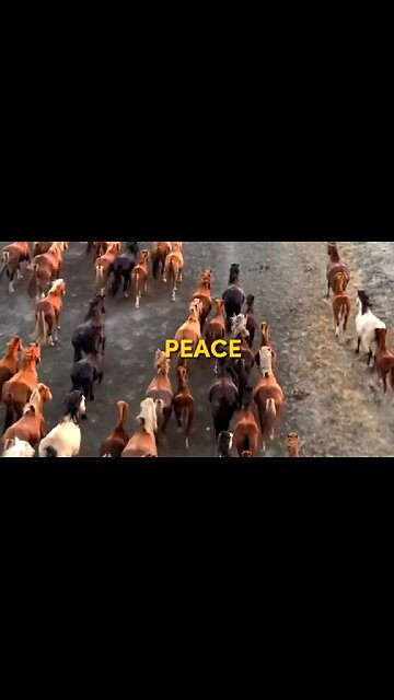 THE REWARD OF LETTING GO - DAILY DEVOTIONAL ❤️