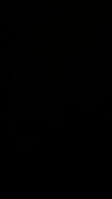 The weather forecast