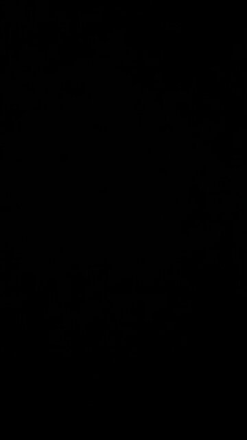 A taco for your troubles