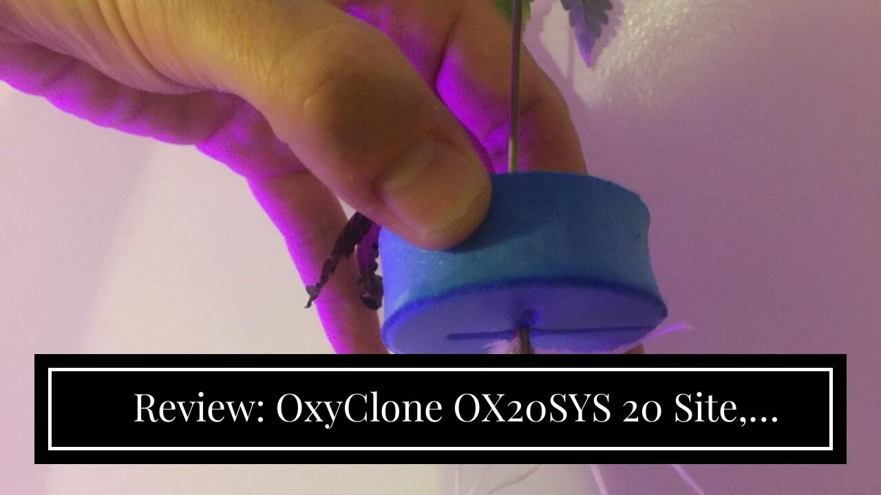 Review: OxyClone OX20SYS 20 Site, Compact Recirculating Cloning Propagation System, Heavy Yield...