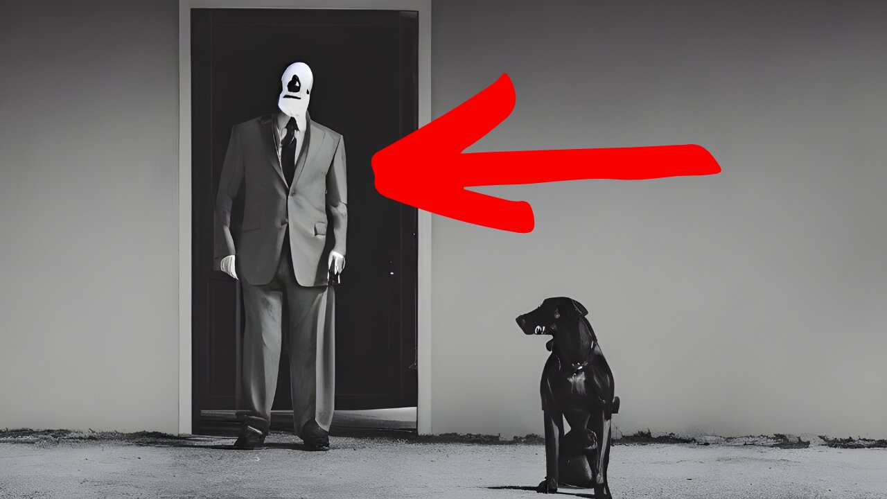 Guardian Pup! Dog Alerts Owner to Eerie Doorway Presence!