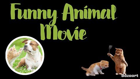 Funny cats 2024 | Funny animal videos | Funny dogs and cats videos 2024 | try not to laugh | cat tv