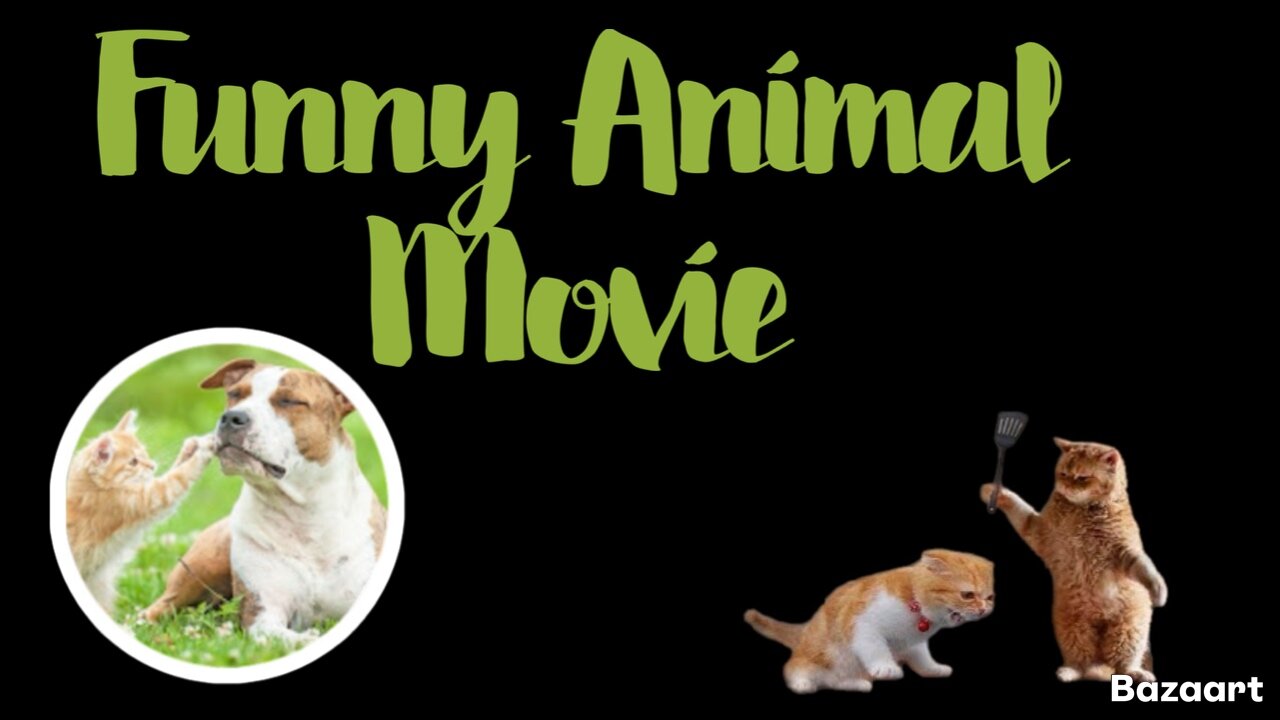 Funny cats 2024 | Funny animal videos | Funny dogs and cats videos 2024 | try not to laugh | cat tv