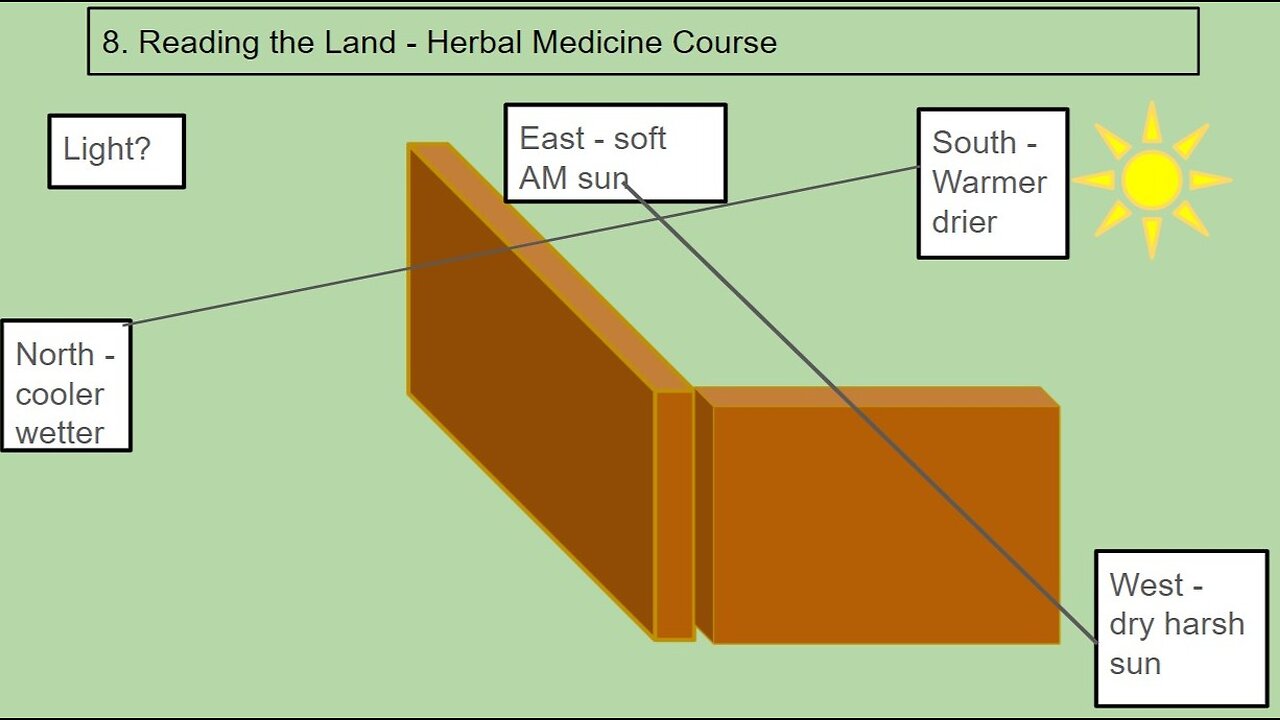 Personal Alkemy Herbal Medicine Course Class 8 - Reading The Land (and our body/land)