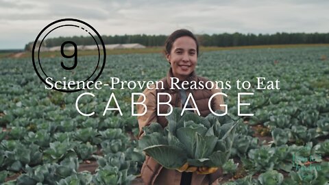 9 Science-Proven Reasons to Eat Cabbage for Better Health