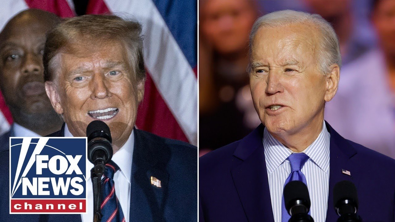 Media urges Biden to stay in basement after New Hampshire primary