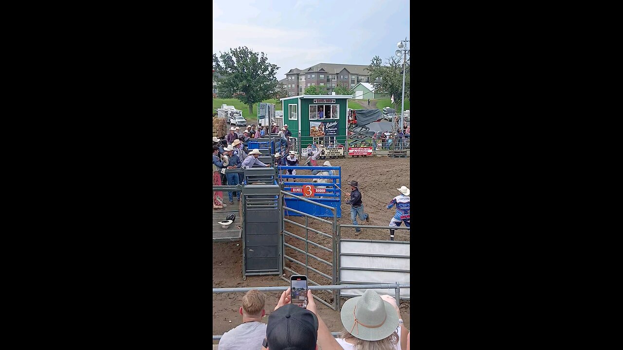 Bull Riding at Hamel PRCA Rodeo