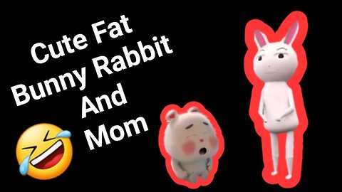 Cute Fat Bunny Rabbit And Mom🐇😍😂