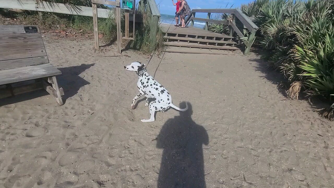 Luna excited to see Space X launch from Satellite Beach in Florida