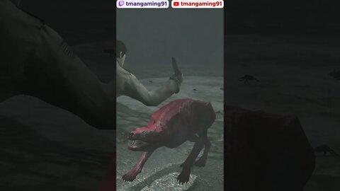 Didn't Know They Did That