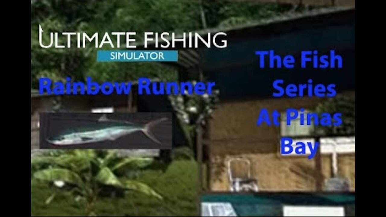 Ultimate Fishing Simulator: The Fish - PinasBay - Rainbow Runner - [00041]