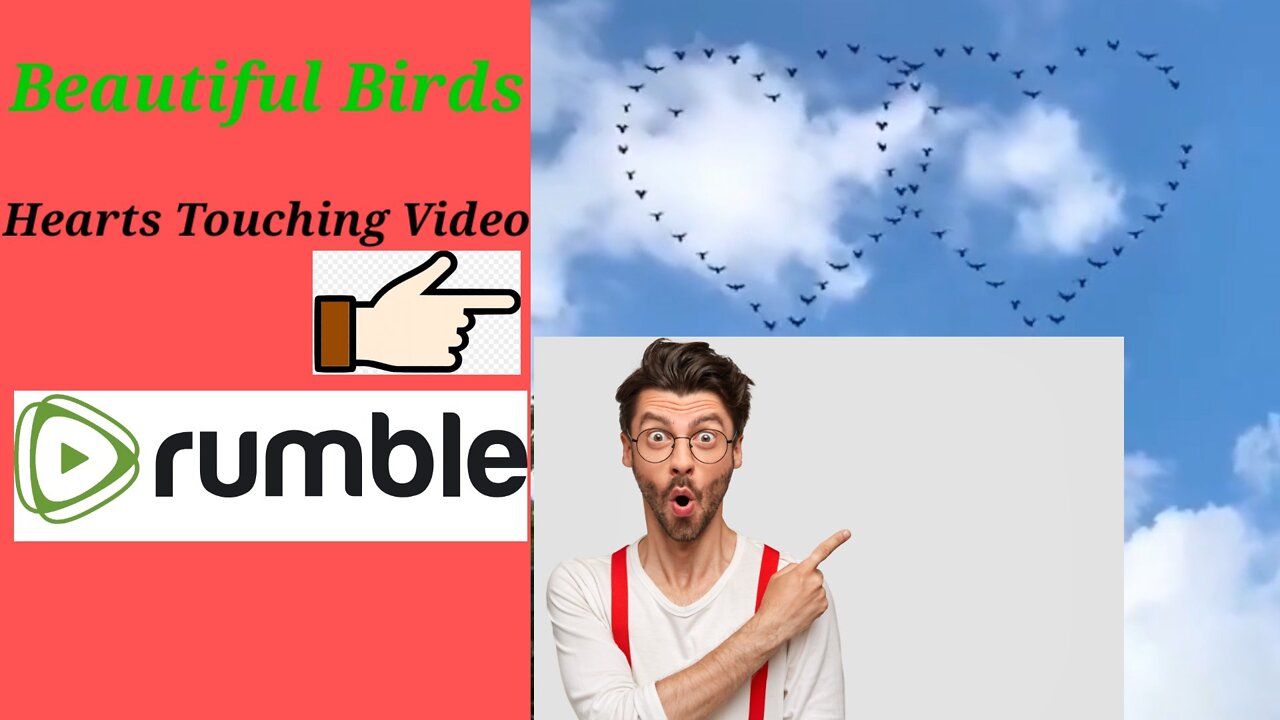 Birds Heart Touching Video