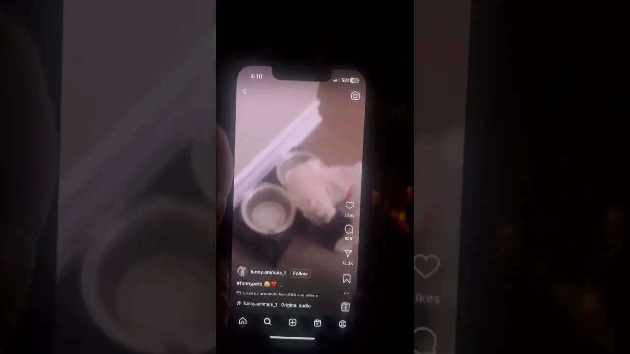 Feed me more or else 2023