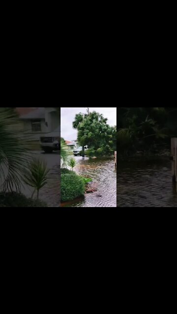 Rescuing My Folks as Hurricane Nicole Floods Their House #shorts #hurricanenicole