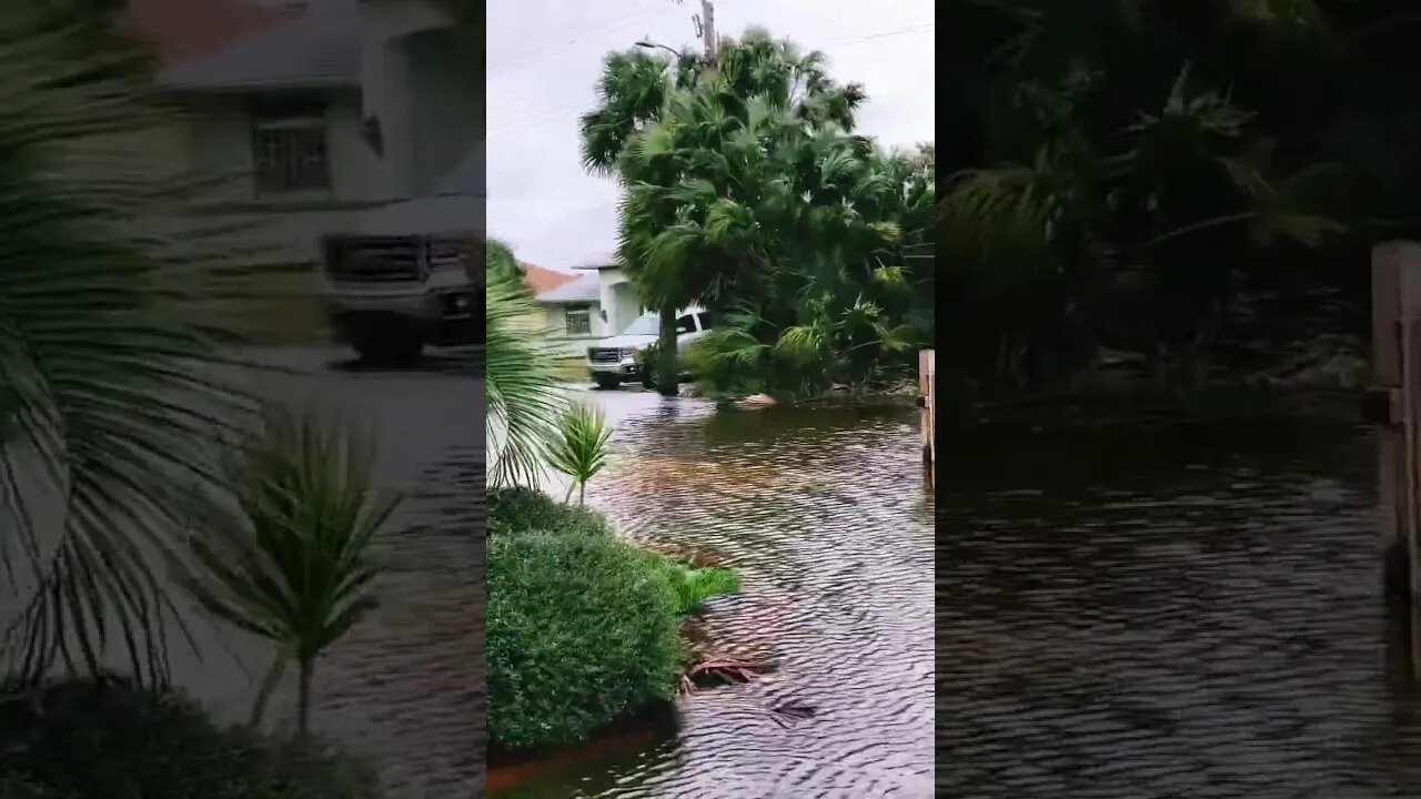 Rescuing My Folks as Hurricane Nicole Floods Their House #shorts #hurricanenicole