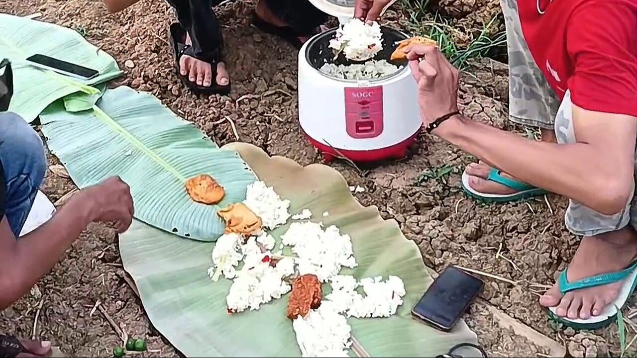 eating in the rice fields with friends