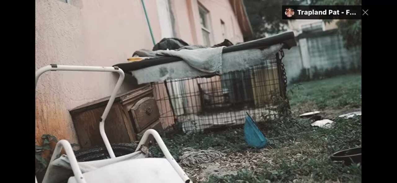 Trapland Pat Big Business