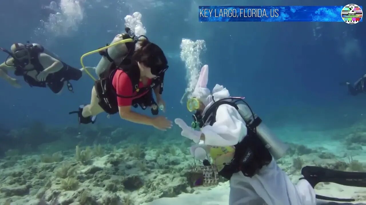 Diving for Easter eggs off the Florida coast