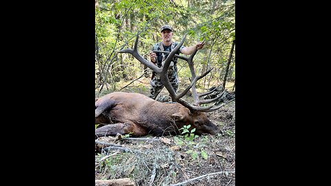 Incredible 2024 Hunting Season - Sneak Peek- Marksman’s Creed #hunting #archery #deer