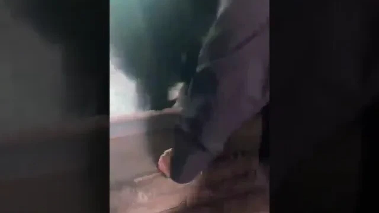 有人来动物园看猩猩,有人来动物园是探亲。