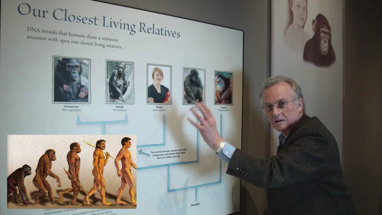 Evolution of Dawkins | Jeranism