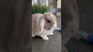 I’m just a baby!!!