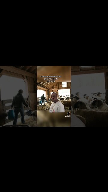 #maslina de #oaie e nu prea buna #jmek #caras #beet #beetlejuice