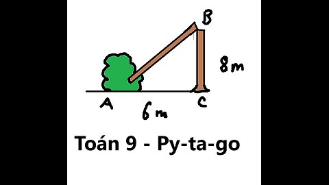 Toán 9: 1 cái cây bị ngã đổ sau bổ tạo thành 1 tam giác vuông. Hỏi chiều cao cây trước bão