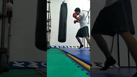 Punch The Bag (39)