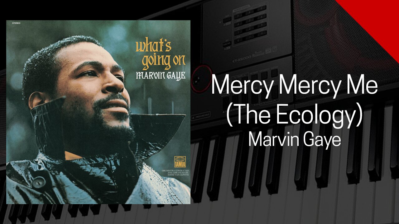 Mercy Mercy Me - Marvin Gaye - Cover