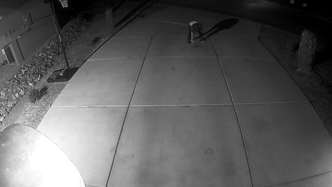 VIDEO- Vandalism in Sahuarita