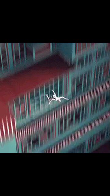 ECONOMY ON FREE FALL