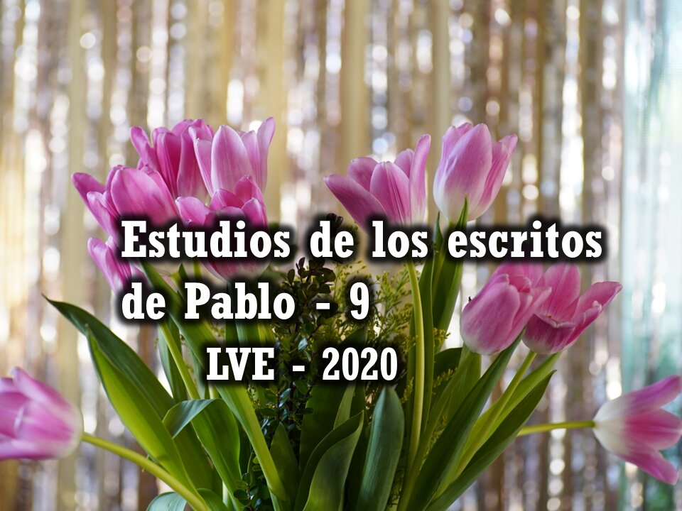 Estudios de los escritos de Pablo 9 - Romanos 4 y 5