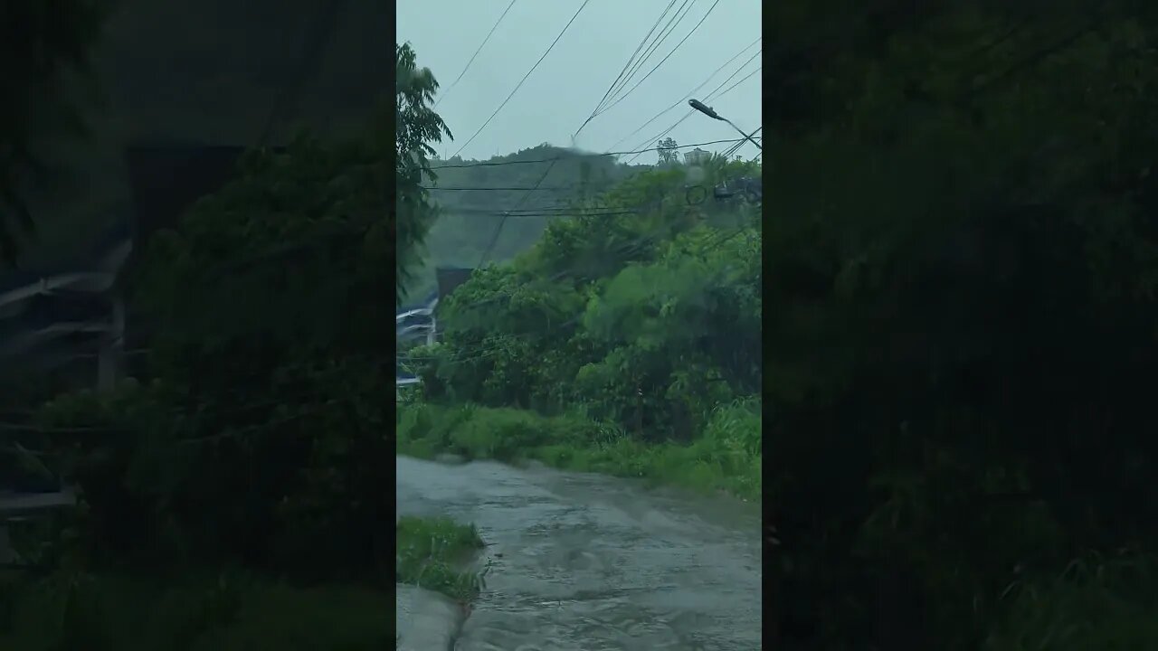 ASMR Rain & Thunder Experience from Inside a Car - Relaxing Sounds