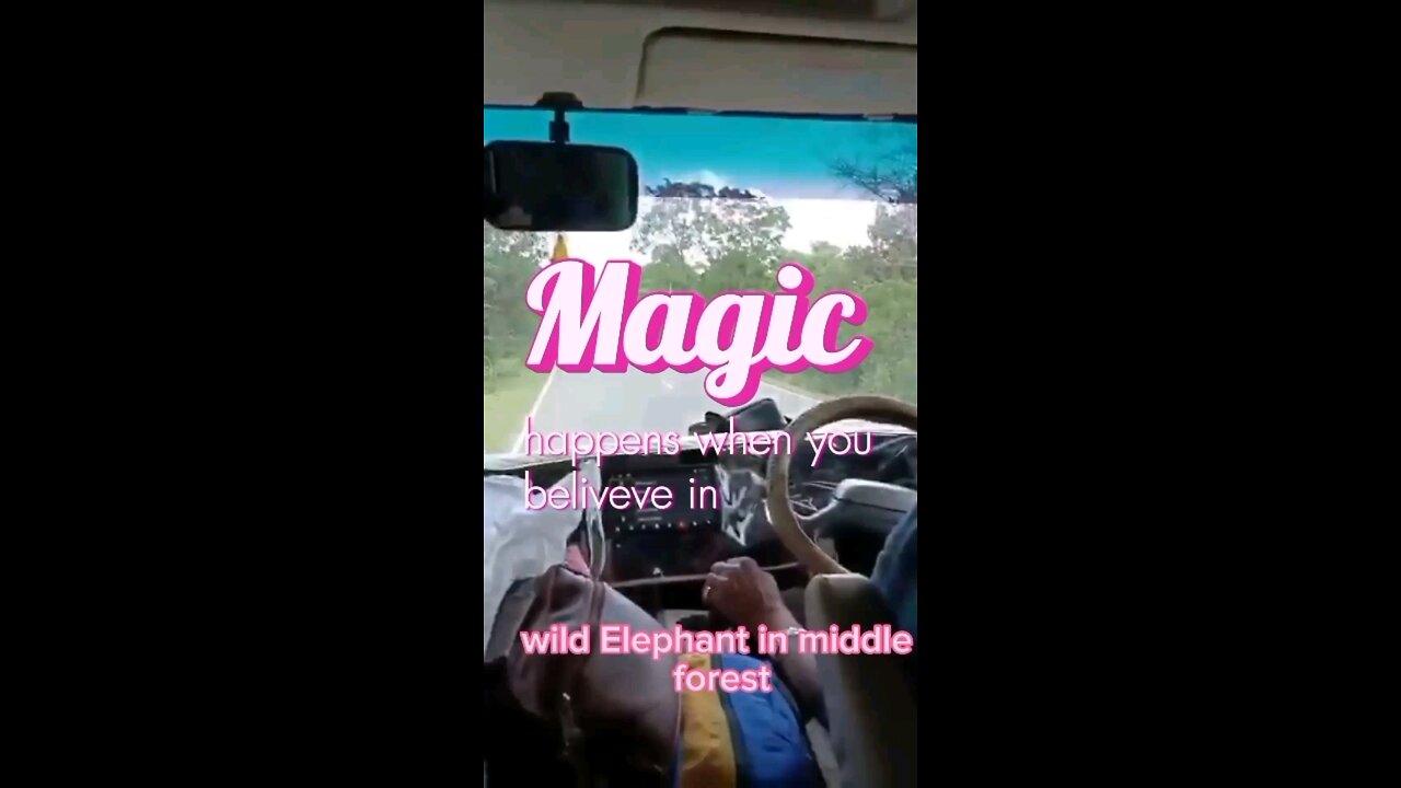 Wild Elephant Crashes vehicle|Travel vlog|scared 😳|Elephant Lovers#shorts #trending#viral USAvlog