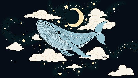 The Starwhale's Nocturne | Chopin