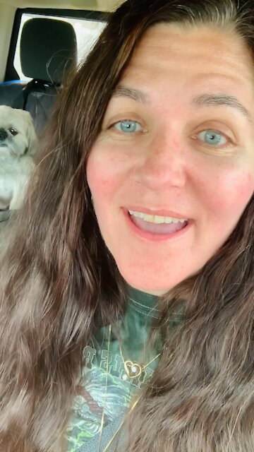 Dog Relief of the Day 🐕