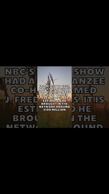 Incredible Random Facts That Will Expand Your Mind! [2023] #shorts #facts #viralshorts #fyp #life